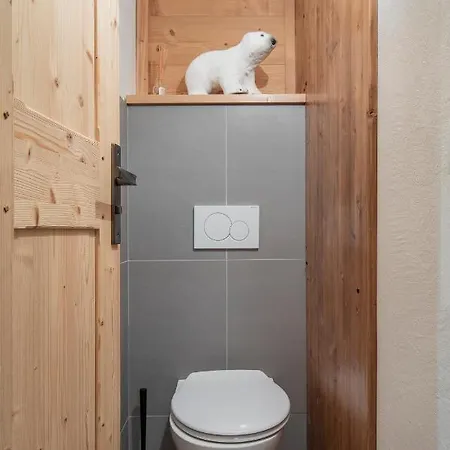 - Cosy Avec Vue Silveralp 224